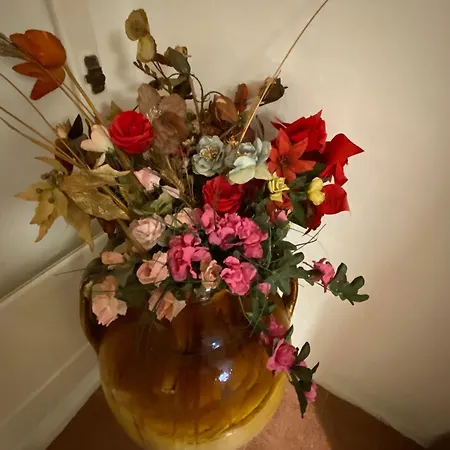 La Dimora Nonna Eugy 滨海波利尼亚诺